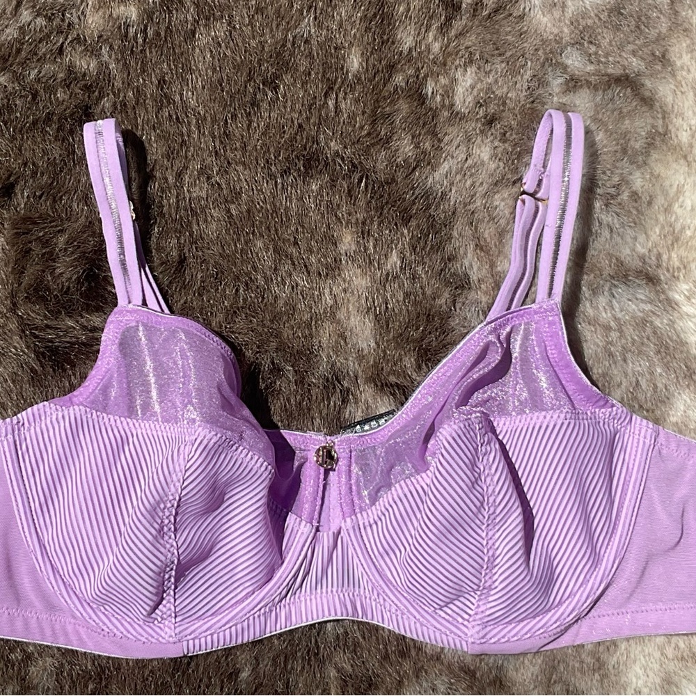 Purple Ashley Graham Bra 40C